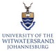 WITS logo