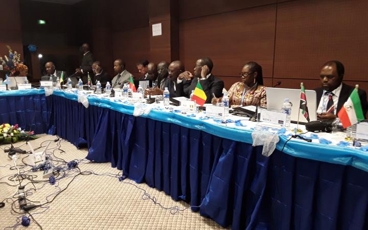 Fourth Steering Committee for the Africa region