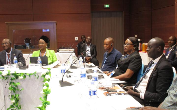 Fourth Steering Committee for the Africa region