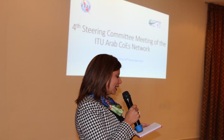 Steering Committee for the Arab States Region