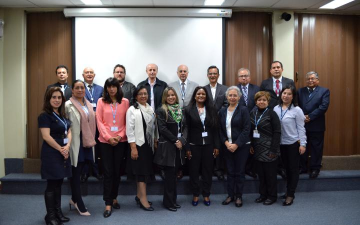 Steering Committee for the Americas region