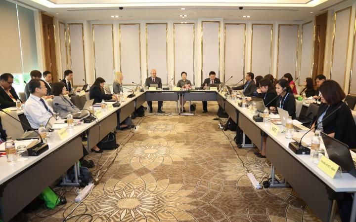 Steering Committee for the Asia-Pacific region 