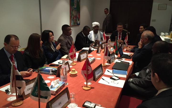 Second Round of the Steering Committee for the Arab States Region