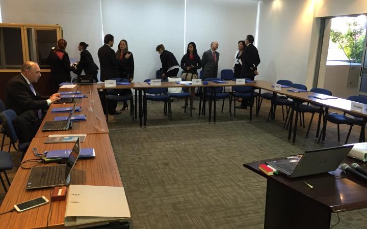 Second Round of the Steering Committee for the Americas Region