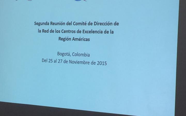 Second Round of the Steering Committee for the Americas Region