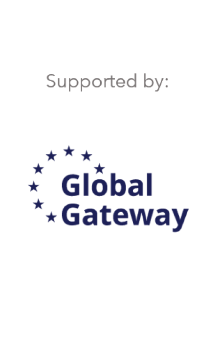 Global gateway vertical