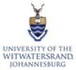 WITS logo