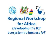 Regional Workshop for Africa. Developing de ICT Regional Workshop for Africa. Developing de ICT